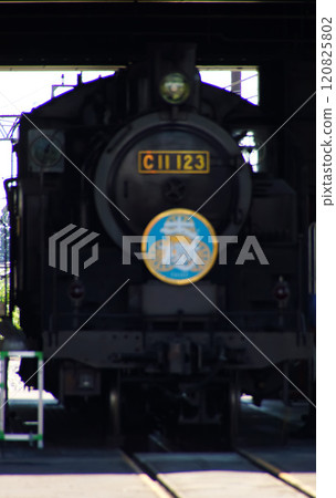 Tobu Railway Shimoimaichi Station Depot (C12 steam locomotive) 120825802