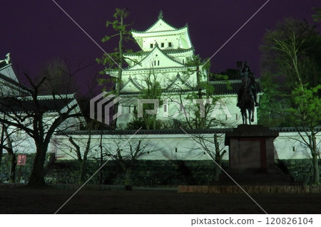 Illuminated Ogaki Castle at night Illuminated Ogaki Castle at night 120826104
