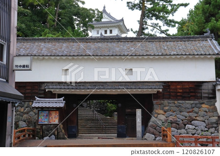 大垣城天守閣和東門(柳口五門搬遷) 大垣城天守閣和東門(柳口五門搬遷) 120826107