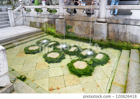 京都市清水寺音羽瀑布 120826418