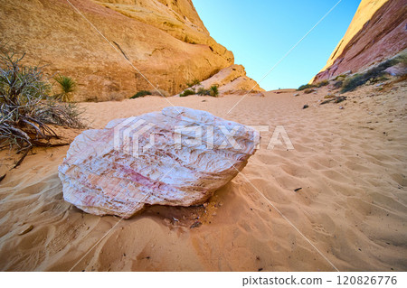 Sandstone Formations and Textured Rock in Valley of Fire Eye Level View 120826776