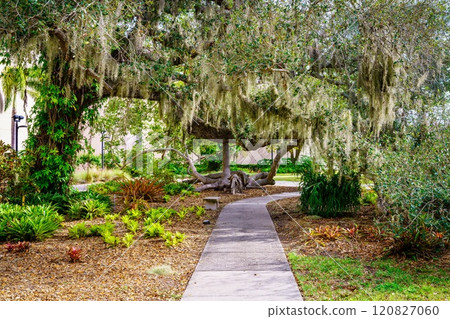 Walkpath in a park 120827060