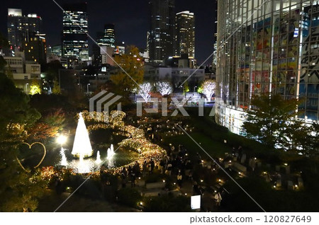 Illumination of Mouri garden 120827649