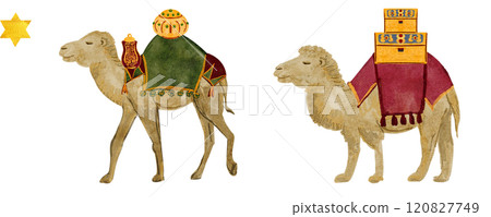 Camel with saddle blankets and chests with gifts Christmas watercolor illustration. Hand painted seamless border for cards, posters, stickers, tape, decoration for celebration of true Christmas. Cute Camel with saddle blankets and chests with gifts Christmas watercolor illustration. Hand painted seamless border for cards, posters, stickers, tape, decoration for celebration of true Christmas. Cute 120827749