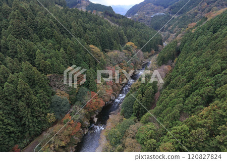 Autumn foliage in the Tomisato Valley of the Dozan River (the longest tributary of the Yoshino River) (late autumn) 120827824