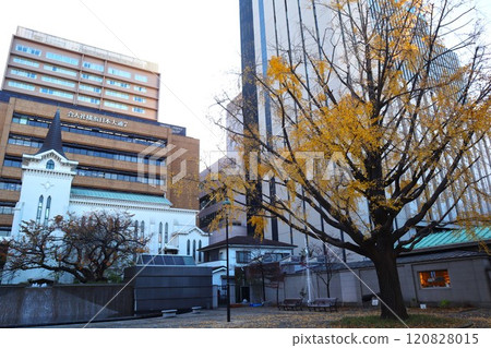 從開港廣場看橫濱海岸教堂深秋景色 120828015