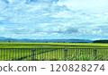 鄉村景觀 120828274