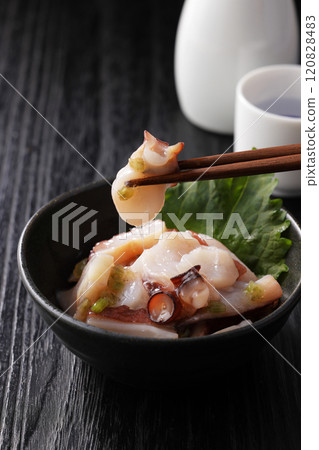 Bamboo shoots 120828483