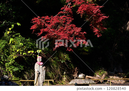 瀧安寺秋葉和地藏菩薩像 120828540