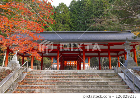 Autumn at Mount Koya: Autumn leaves and the Hall of Heroes 120829213