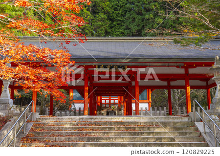 秋天的高野山、秋葉和英雄殿 秋天的高野山、秋葉和英雄殿 120829225