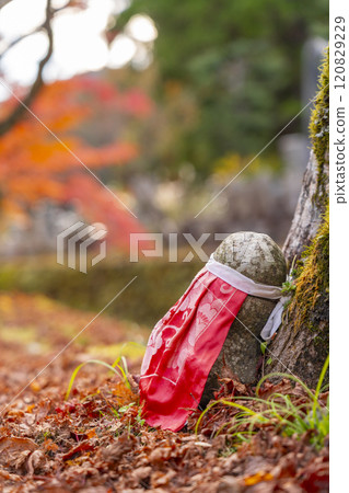 秋天的高野山、秋葉和平與橋附近的石佛 秋天的高野山、秋葉和平與橋附近的石佛 120829229