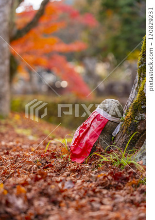 Autumn at Mount Koya: Autumn leaves and stone Buddha statues near Heiwa Bridge Autumn at Mount Koya: Autumn leaves and stone Buddha statues near Heiwa Bridge 120829231