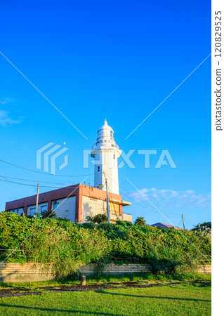 秋天的野島岬燈塔，千葉縣南房總市 120829525