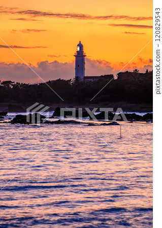秋天的野島崎燈塔夜景千葉縣南房總市 120829543