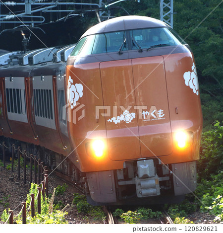 Hakubi Line Limited Express Yakumo (273 Series train: Okayama ⇔ Izumo City) 120829621