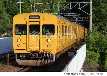 [JR-V] Hakubi Line 115 Series 1600 (Ako Line Direct Train) 120829706