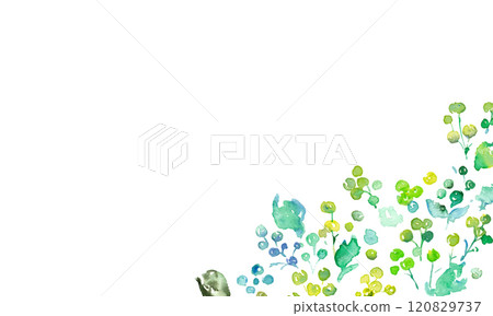 Watercolor painting. Green plant illustration with watercolor touch. Vector frame of green leaves and plants. Hand drawn watercolor grass background. 120829737