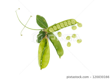 Group of green pea pods and peas isolated on white Group of green pea pods and peas isolated on white 120830166