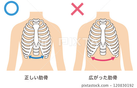 Open ribs Closed ribs 120830192