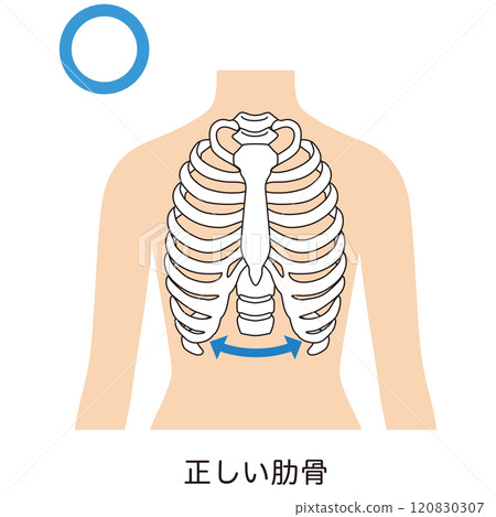 Open ribs Closed ribs Open ribs Closed ribs 120830307