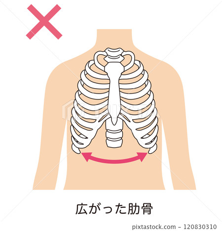 Open ribs Closed ribs 120830310
