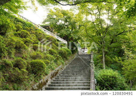 京都市東山區清水寺 120830491