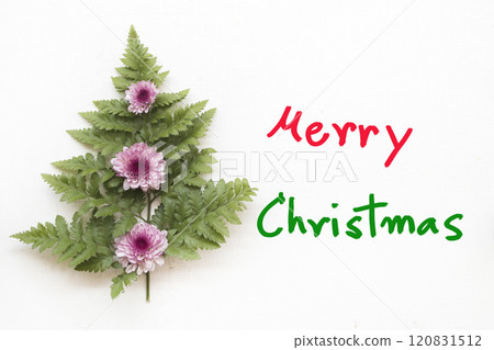 merry christmas message card with flowers, leaf arrangement tree  120831512
