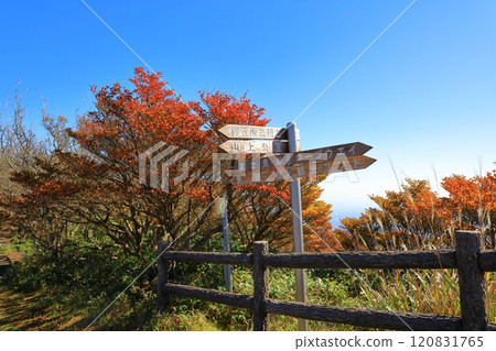 禦在所三條公園的秋葉 120831765