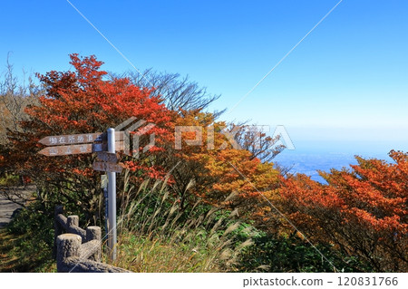 禦在所三條公園的秋葉 禦在所三條公園的秋葉 120831766