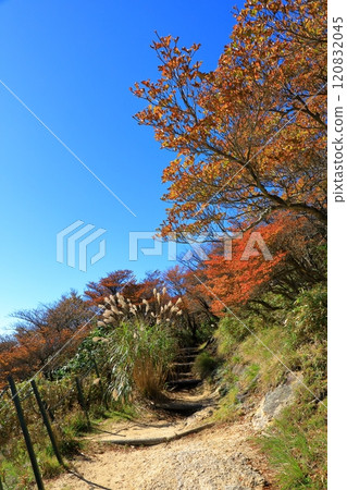紅葉的御在所山山路 120832045