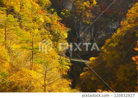 Naruko Gorge and autumn leaves seen from Ofukazawa Bridge (Miyagi Prefecture) Naruko Gorge and autumn leaves seen from Ofukazawa Bridge (Miyagi Prefecture) 120832927