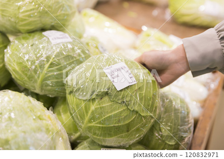 Young woman holding cabbage at the supermarket Young woman holding cabbage at the supermarket 120832971