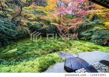 京都八瀨琉璃光院秋葉 京都八瀨琉璃光院秋葉 120833041