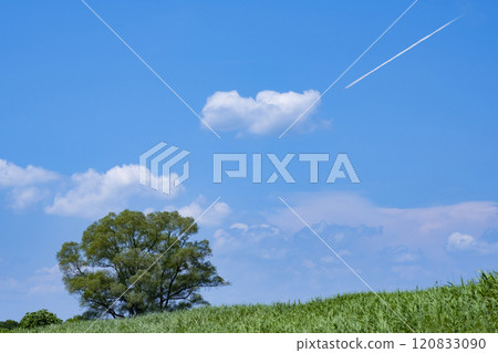 Sky above the hills and airplane clouds 120833090
