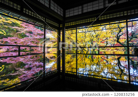 京都八瀨琉璃光院秋葉 120833256