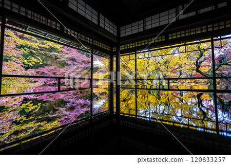 京都八瀨琉璃光院秋葉 120833257