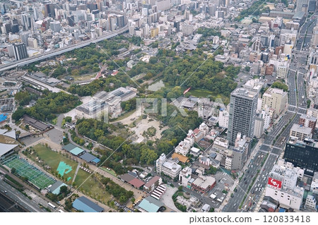 大阪、天王寺、從阿倍野 Harukas（北向）、天王寺公園和谷町筋看到的大阪（傍晚、秋季） 120833418