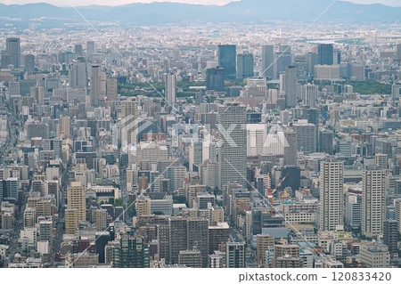 大阪、天王寺、從阿倍野 Harukas 看到的大阪（北向）、大阪城和千里之丘（傍晚、秋季） 120833420