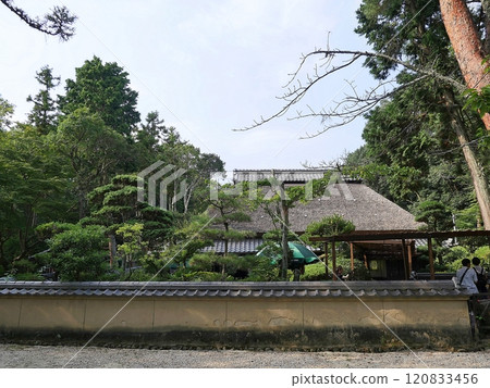 三重伊賀上野公園忍者屋(夏季) 三重伊賀上野公園忍者屋(夏季) 120833456