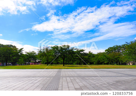 九月西公園賞櫻廣場/宮城縣仙台市青葉區 120833756