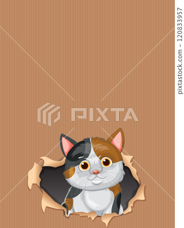 Curious Cat Peeking Through Paper 120833957