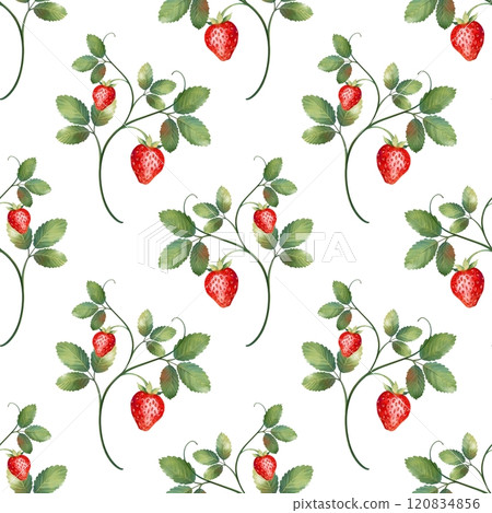 Strawberry seamless pattern. Green leaves and red red berries 120834856