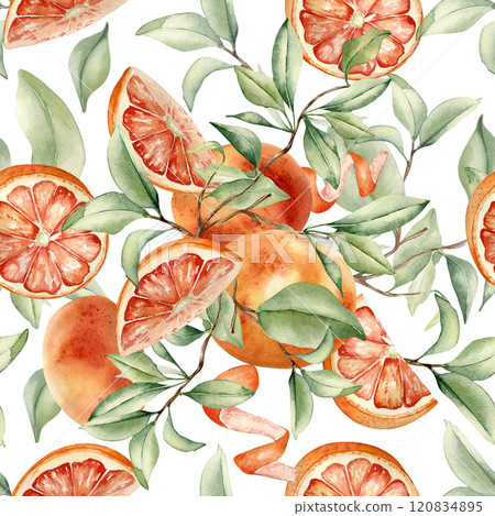 Grapefruit tree foliage watercolor seamless pattern on isolated background. Bright summer repeated texture hand drawn with citrus fruits sliced, red orange ripe, branches leaves for design textile. Grapefruit tree foliage watercolor seamless pattern on isolated background. Bright summer repeated texture hand drawn with citrus fruits sliced, red orange ripe, branches leaves for design textile. 120834895