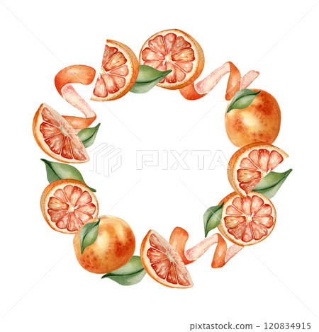 Grapefruits whole and segments, orange citrus curl and leaves watercolor frame isolated on white. Bright summer wreath hand drawn with red orange citrus fruits, sliced, swirl peel for packaging, card. 120834915