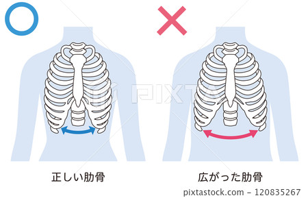 Open ribs Closed ribs Open ribs Closed ribs 120835267