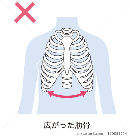 開放式肋骨 封閉式肋骨 120835354