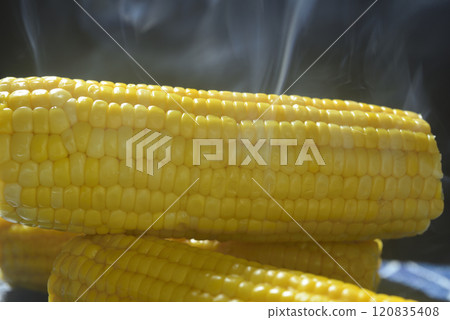 Steaming boiled corn 120835408