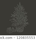 Christmas tree with gifts sketch style drawing. Hand drawn in hatching style. Chalk drawings on graphic board. Christmas and New Year cards design on gray background 120835553