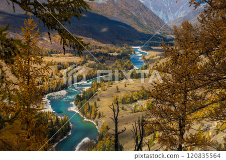 Scenic autumn view of river winding through Altai mountains landscape Scenic autumn view of river winding through Altai mountains landscape 120835564